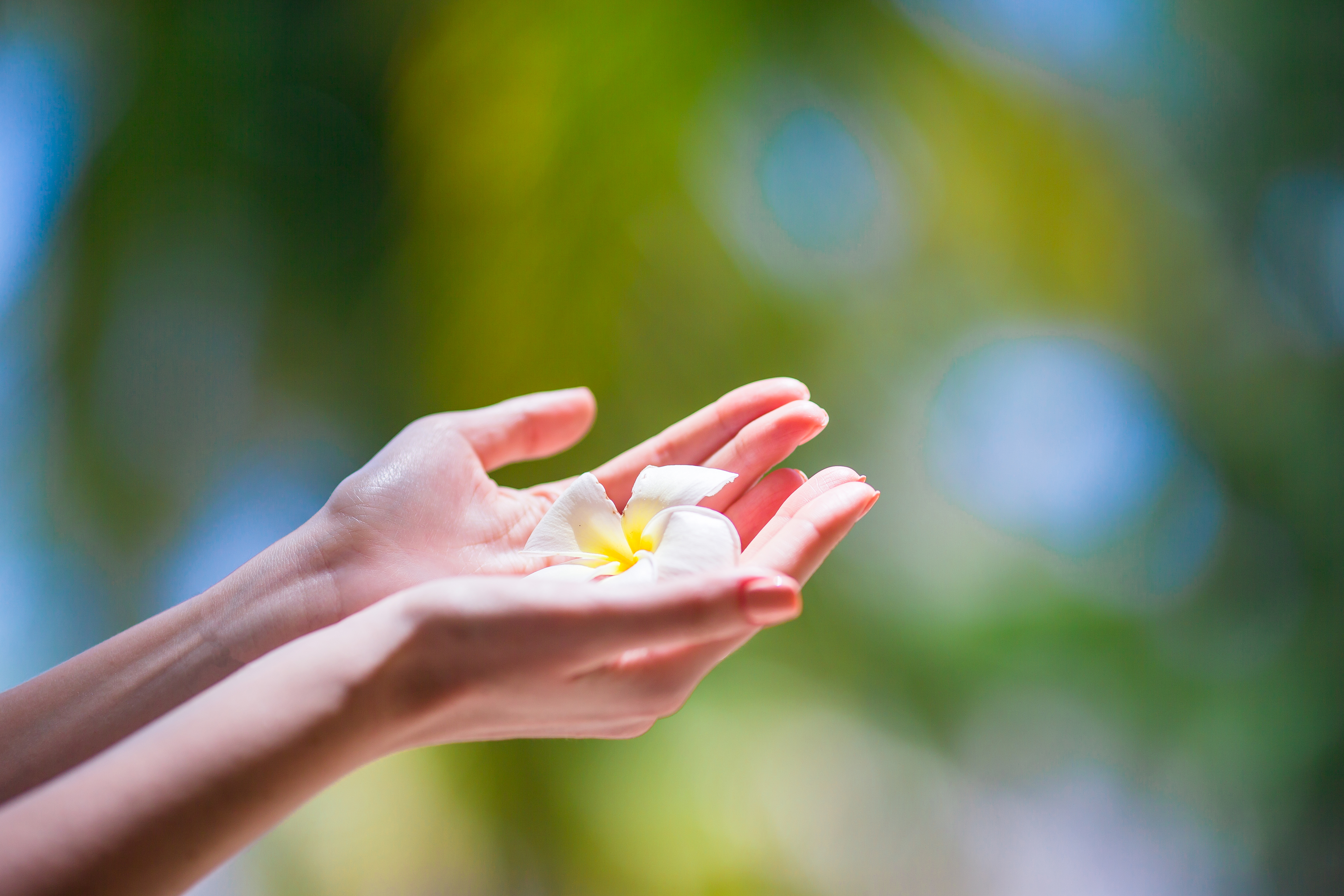 Welcome to the Wellbeing Hub, your space to find all the resources you need for your wellbeing.